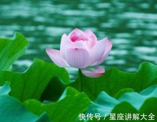 桃花|7月2日开始，运势如虹，4属相贵人相助，桃花旺盛，喜事接二连三