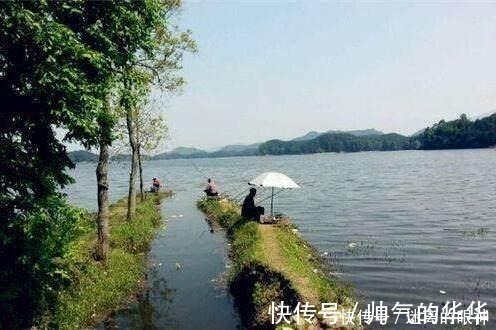 春天来了,大鲫鱼喜欢藏在这些位置,这些地方下竿一钓一个准!