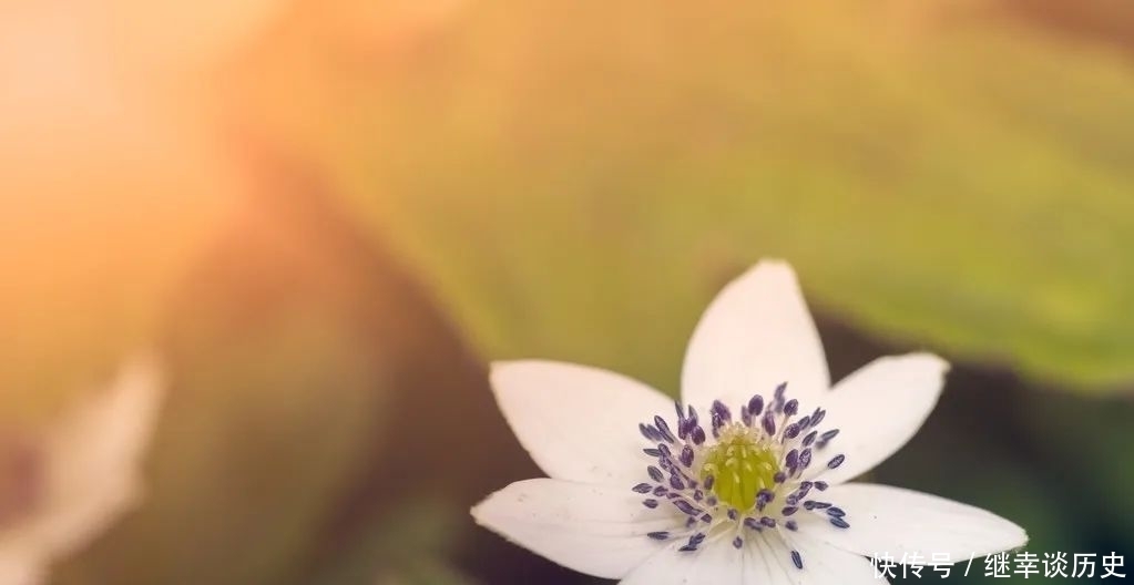 《人生海海》麦家认清生活真相,依然要活成自己的英雄