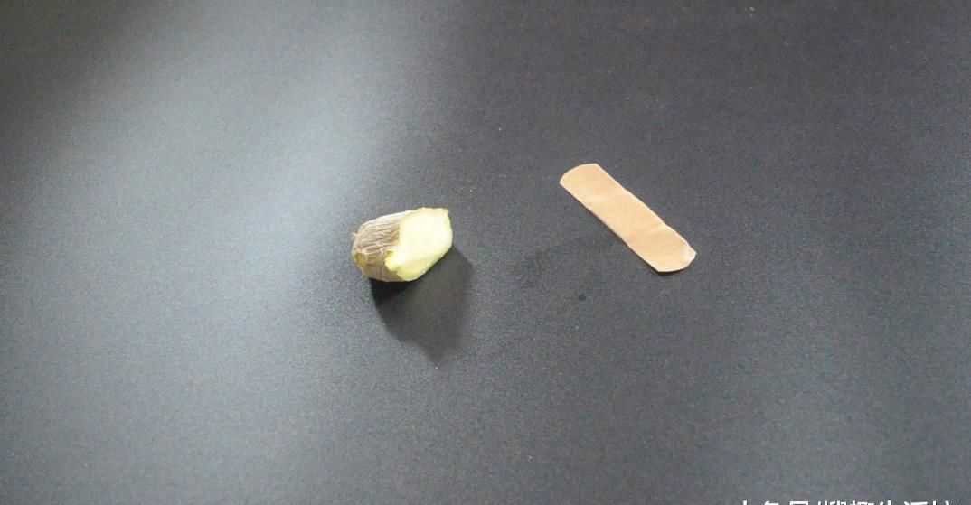 眼镜|创可贴贴在眼镜上太厉害了, 解决了很多人的困扰, 看完赶紧去试试