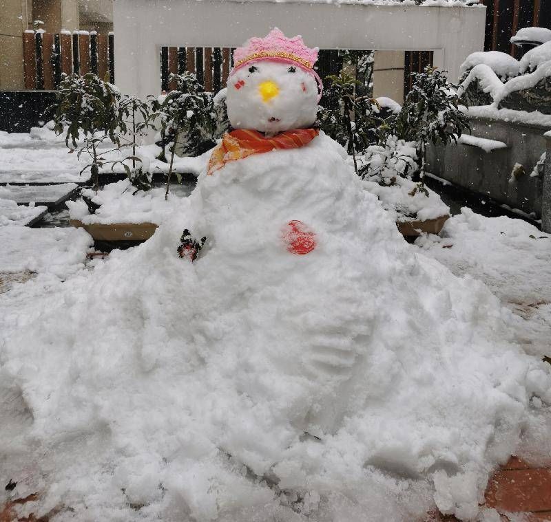 张学勇|又见雪花飘落时■张学勇