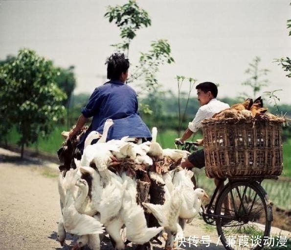 回忆|「老照片」1987年的中国生活，满满的回忆