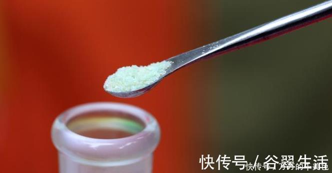 黄豆|自制一种营养液，比淘米水强10倍，每次浇花用一点，叶子油亮乌黑