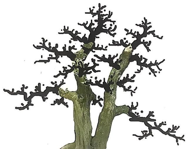 一盆九里香,阳台香飘飘,6款盆景造型玩法,哪一款受你青睐