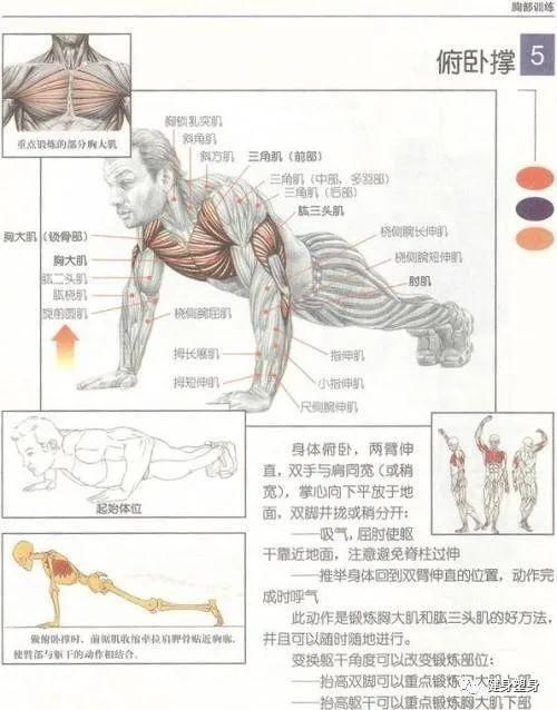 自重|如何从完全做不了俯卧撑到自重达人,你需要跟着这套方法循序渐进