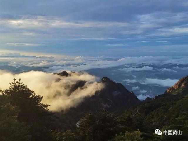 吴立新|云游雨后黄山 美景如画好似仙境