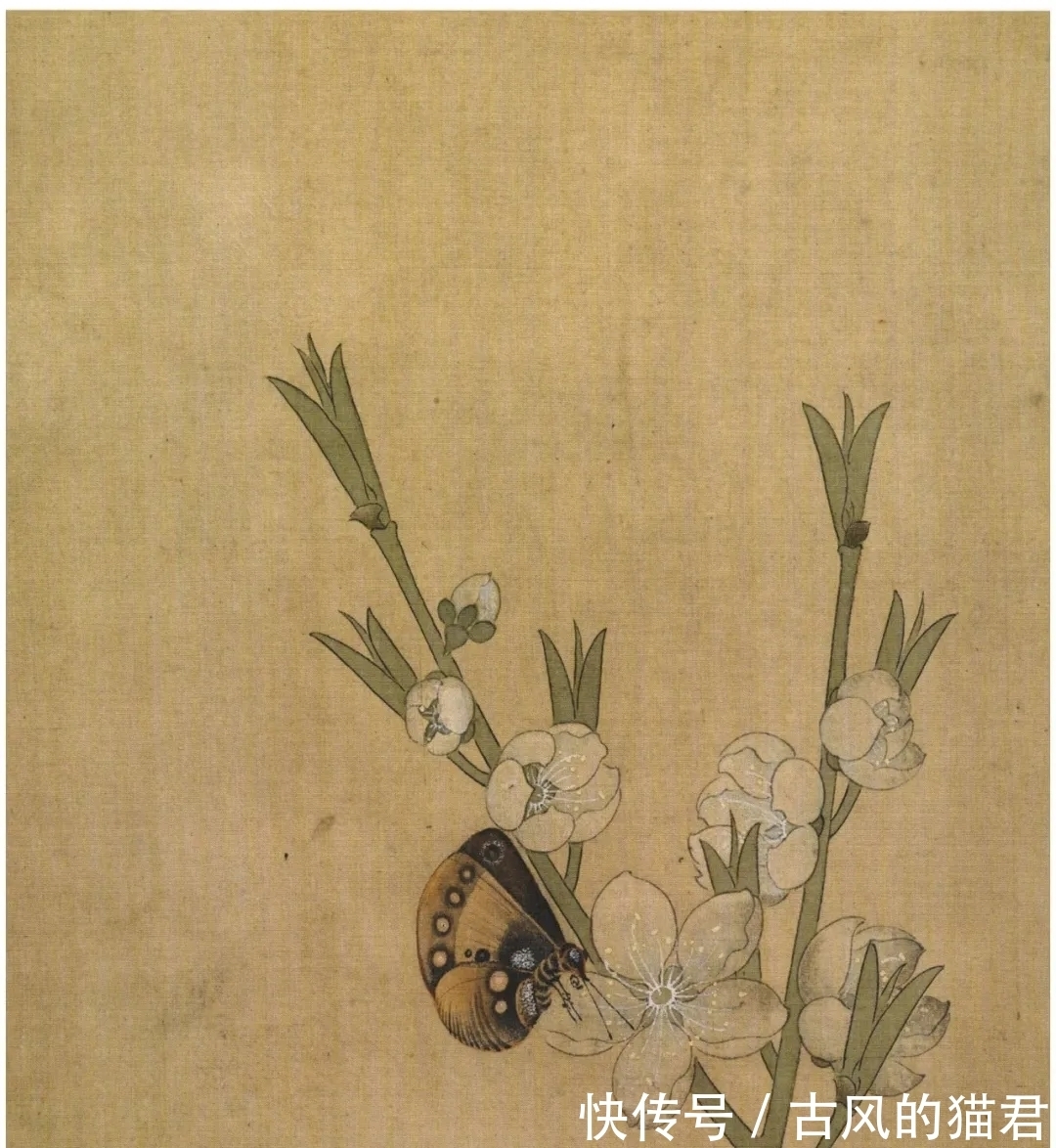 花鸟&陈洪绶的山水画、花鸟画也是当家绝活,与人物画比较,毫无逊色!