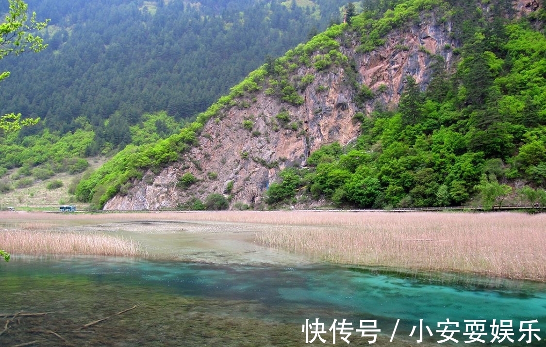 五花海|九寨沟的海，瀑布连环，归来不看水