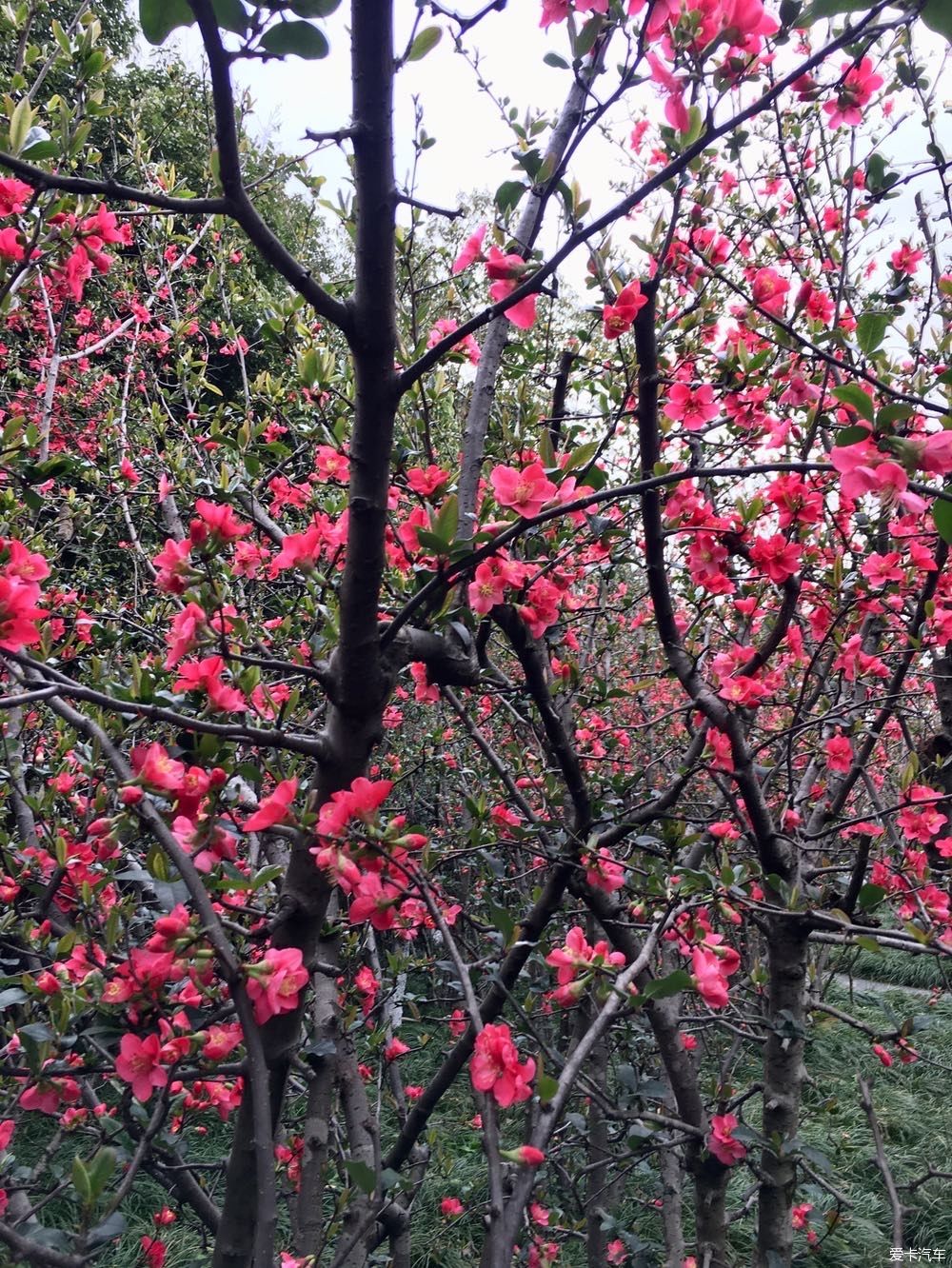 沙滩|游公园，骑单车逛成都，打卡最炫双子塔灯光秀