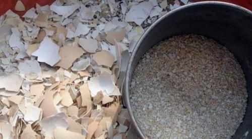 鸡蛋壳养花,用对了才是好花肥,出错了就烂根,养一盆死一盆!