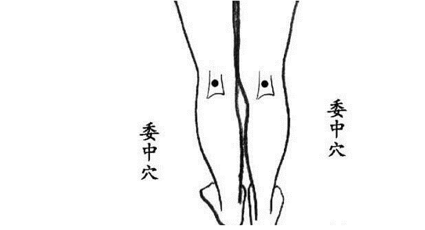 中医|湿气越重,人就越懒!坚持“两个”方法排湿,无湿一身轻!