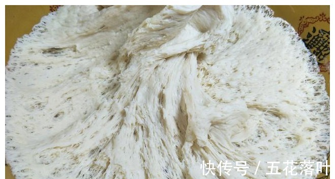 保鲜膜|秋天蒸馒头,发面有讲究,4个细节做到位,30分钟发满盆!
