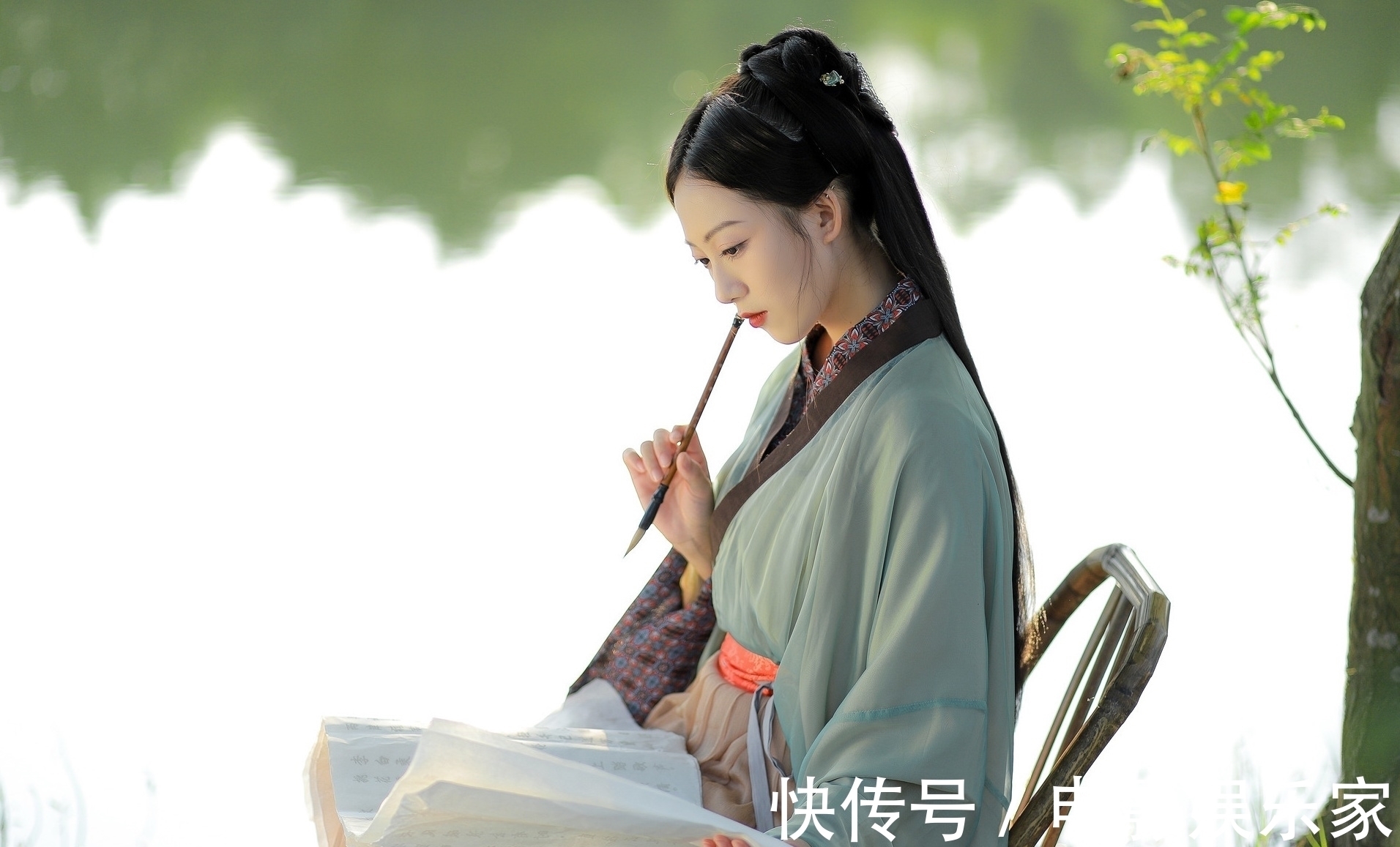 萱草&诗·十首丨梦有归期重见日,犹将夜曲拟长歌