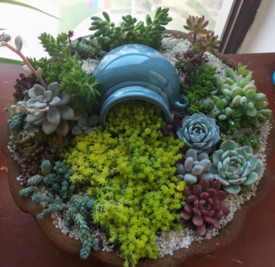 无论你多喜欢养花，都不要碰“3种花”，这都是养花高手被坑过的