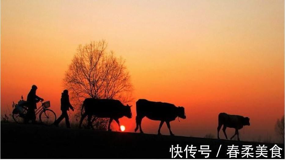 汪梦&如何游子不思家,十首思家的诗词,读完让人热泪盈眶!