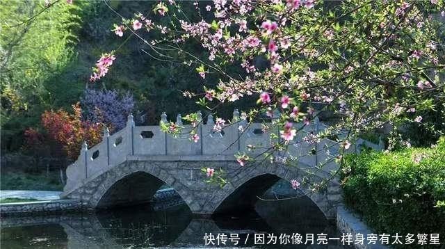 步行街|美翻！淄博还有这么一个“小而美”的地方，等你去发现！