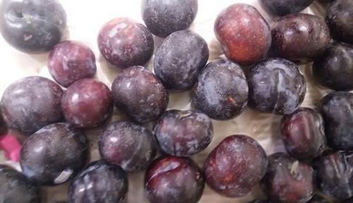 李子|它是天然的“养肝药”,坚持每天吃一点,排毒养肝,一身轻松