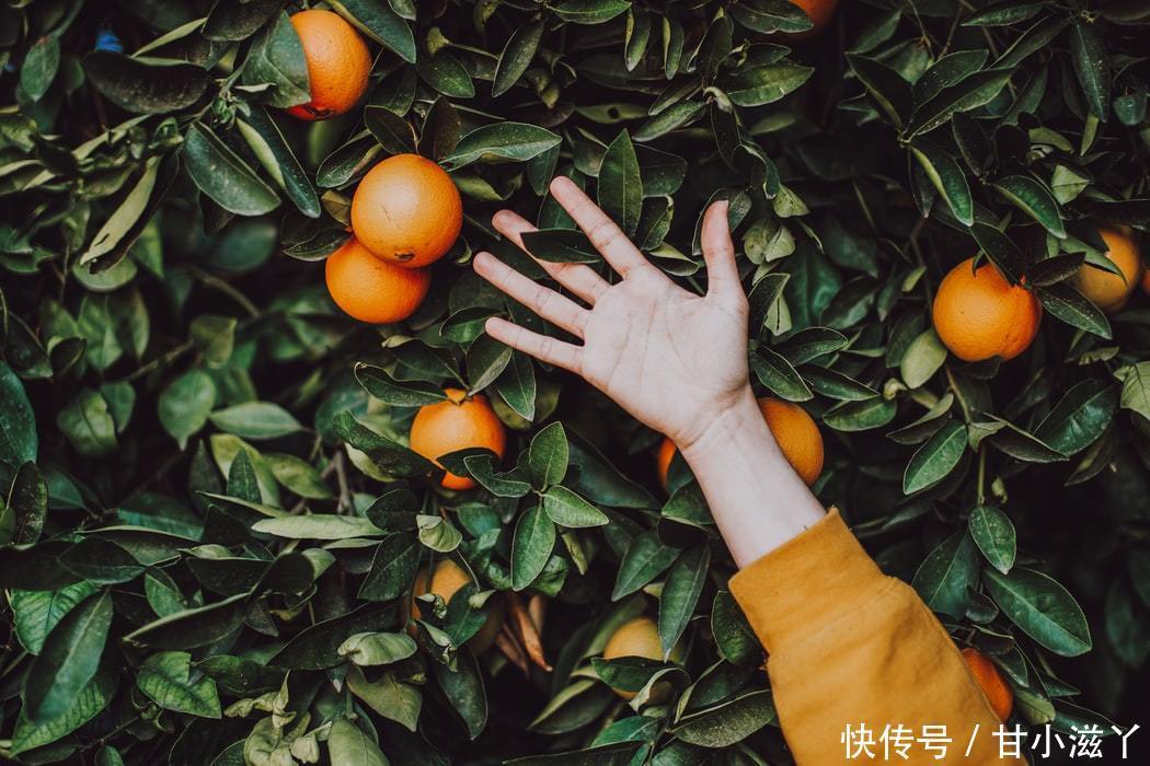 黑色素|喝茅蔗膏和吃水果一样可以改善熬夜长斑,你不会不知道吧?