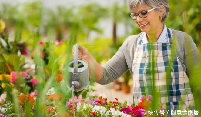 些人喜|养花人都有的5大通病,占到3条,你已经是一个资深花迷了