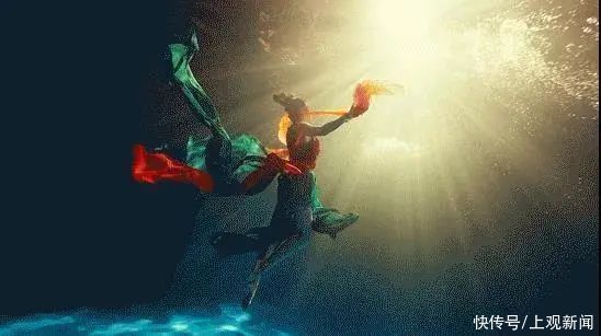 哈里森|好书·新书