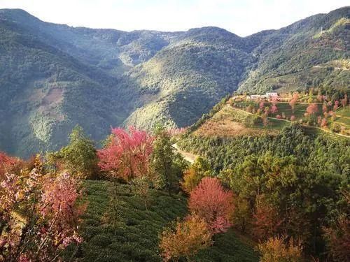 12月中国最美旅行地，从圣洁到安逸，第一个就心动了！