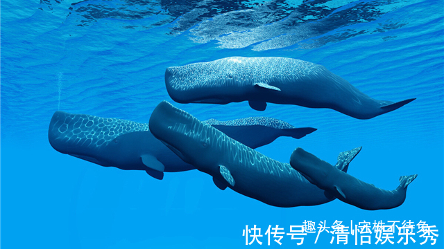 23个冷知识:虽然无处使用,但却十分有趣的奇怪知识