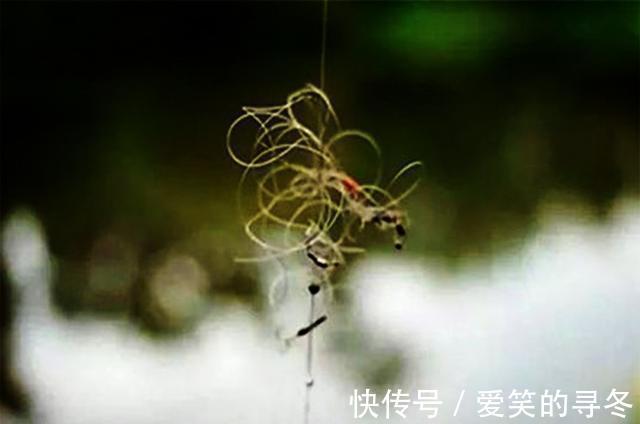 大招|老钓友分享实用钓鱼4大招,掌握以后轻松应对,子线缠绕的问题