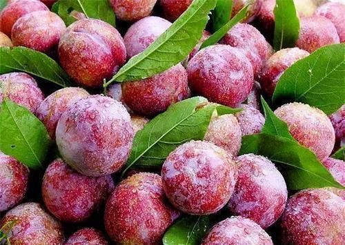 常吃|想长寿得会吃,常吃以下3种食物,养心安神,润肺补肝,好处多多