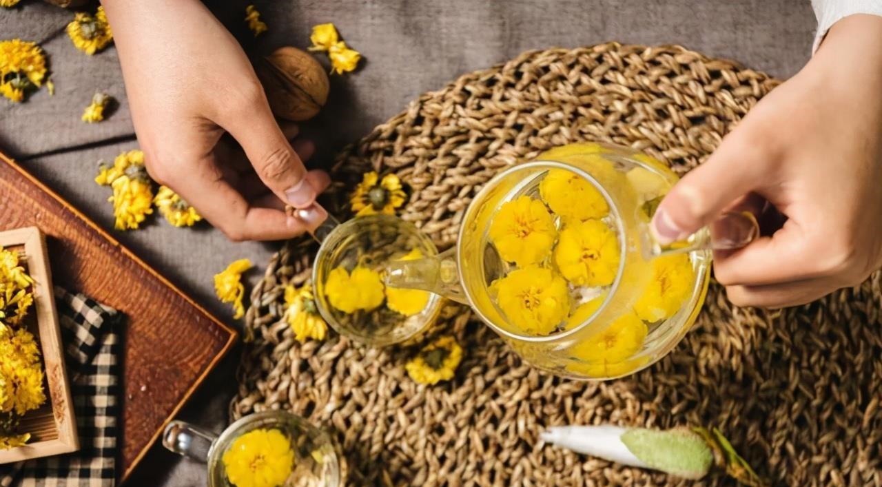 6种漂亮花,又香又好吃,美食之花,你养过几种?