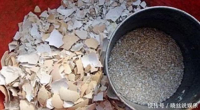 满盆|悄悄告诉你,花卉不开花,用点“催花水”,花开满盆,变养花高手