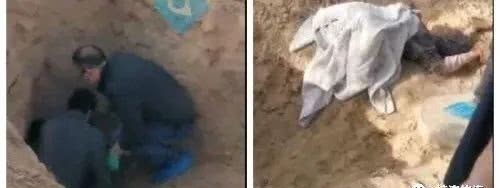 极端|从“埋儿奉母”到“靖边埋母”：人伦惨剧的极端个例