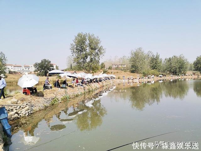 只因钓不好鱼,自己也开了一个鱼塘,误打误撞半年赚了一套房