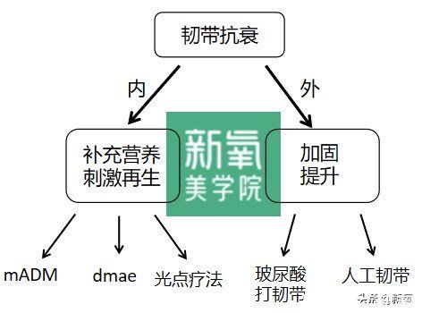 韧带 人生无常，大肠包小肠，腿精变肿精？