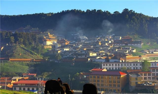  书籍|甘南自治州的拉不楞寺：一百多位活佛在此居住，留下无数珍贵书籍