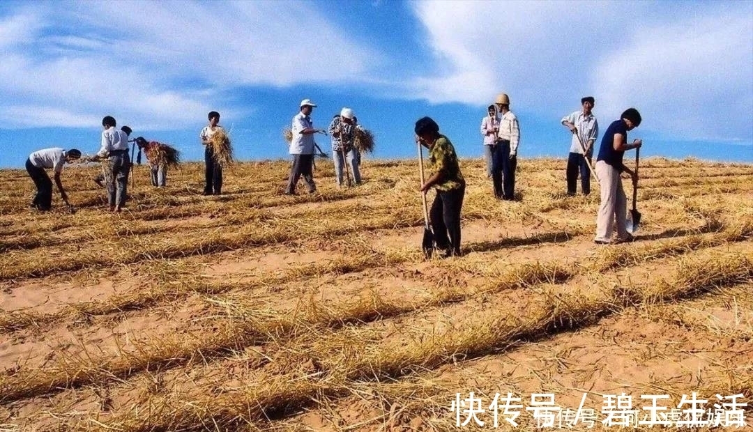 磁县|如果没有贺兰山，“塞上江南”将会怎么样中国自驾地理