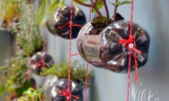 怎么将塑料瓶“一步步”打造成漂亮花盆?