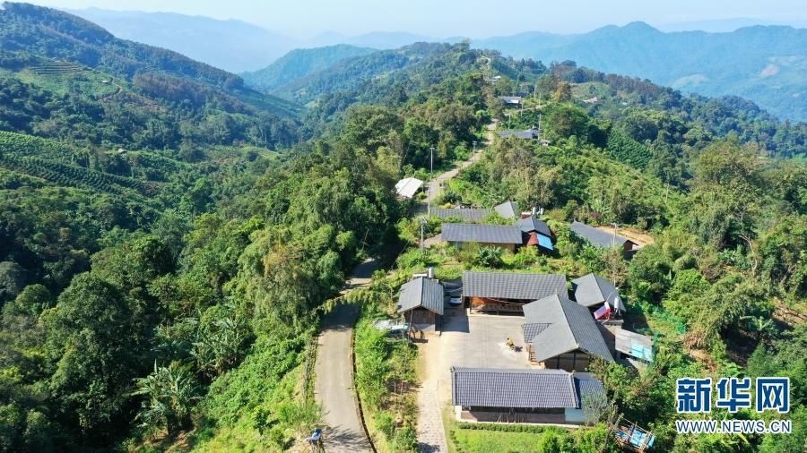 石梯村|【百城千县万村调研行】百鸟栖石梯 衔来金银山