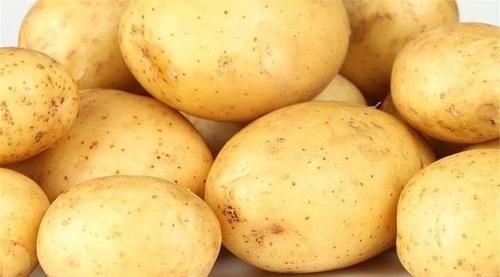 康普|想年轻一点，秋天不妨吃的食物，改善肠胃，排毒养颜，越吃越年轻