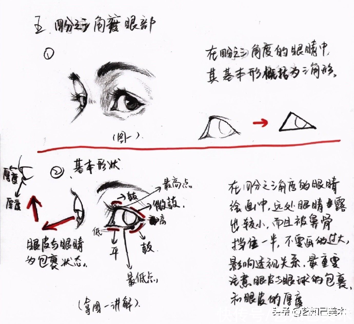 鼻子|速写头部总是掌握不了？让我一篇帮你搞定