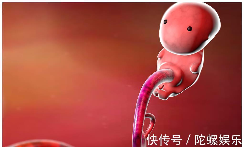 三个月|怀孕前三个月不能说?不一定是谣言,其中有它的科学“道理”