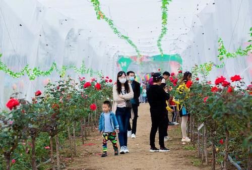 郴州一景区另类走红，从未开业内部杂草丛生，游客却络绎不绝
