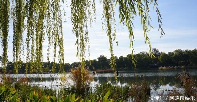 最美金秋到什刹海品历史，长知识，观风景