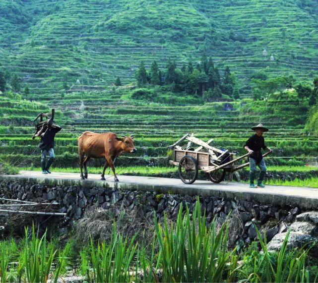 适合一个人去的10个小众旅行地，你去过哪几个？