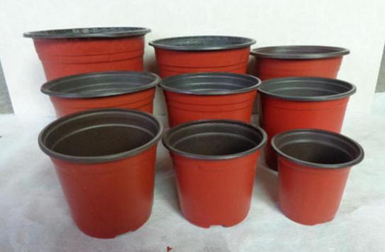 花友|如何给花卉换盆土?不忽略此6个“细节”才算不白忙