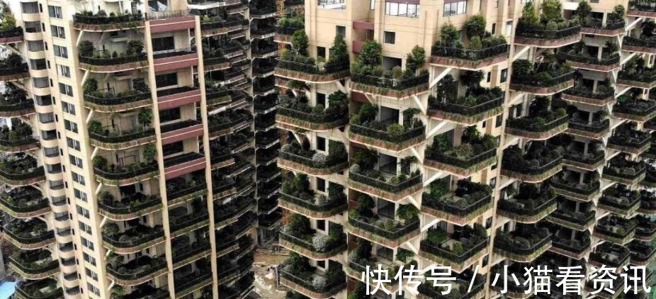 别墅|中国将迎来第四代住房,家家有院子、车停门口,电梯房时代过去了