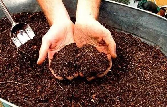 养花人都会的妙招:将它们变废为宝,既省钱又实用