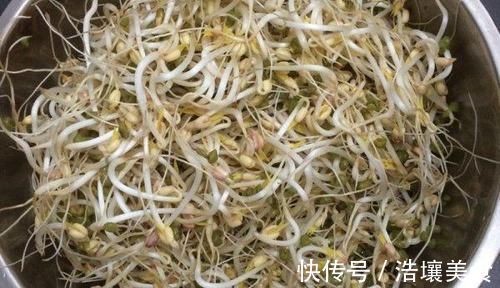 豆芽好吃不用买，教你在家发豆芽，只需一个塑料瓶，4天就可以吃