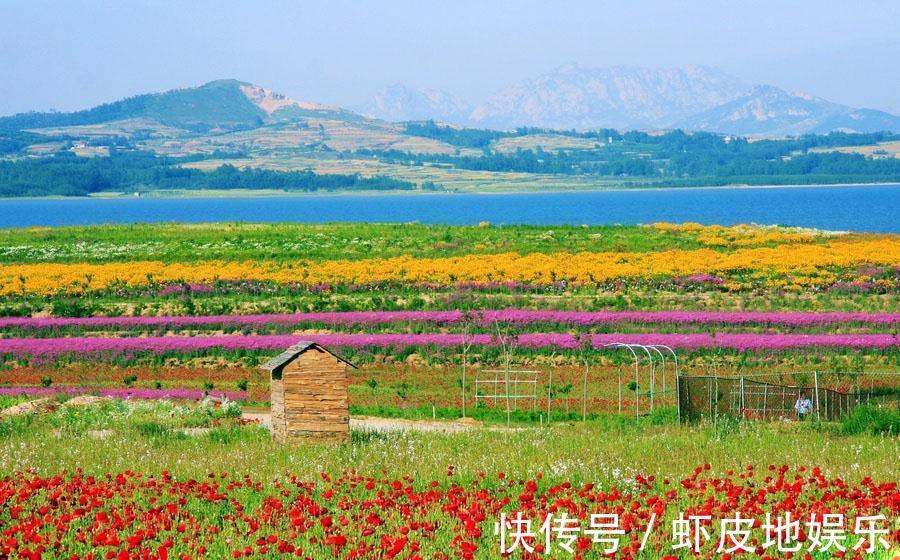 景区|日照一低调美丽景区，鲜花环绕拍照打卡圣地，知道的人却很少