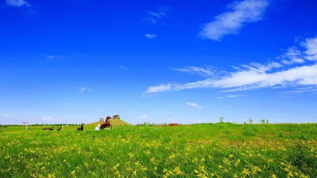 对不起|推荐丨对不起,别再找我,我要去阿拉善了