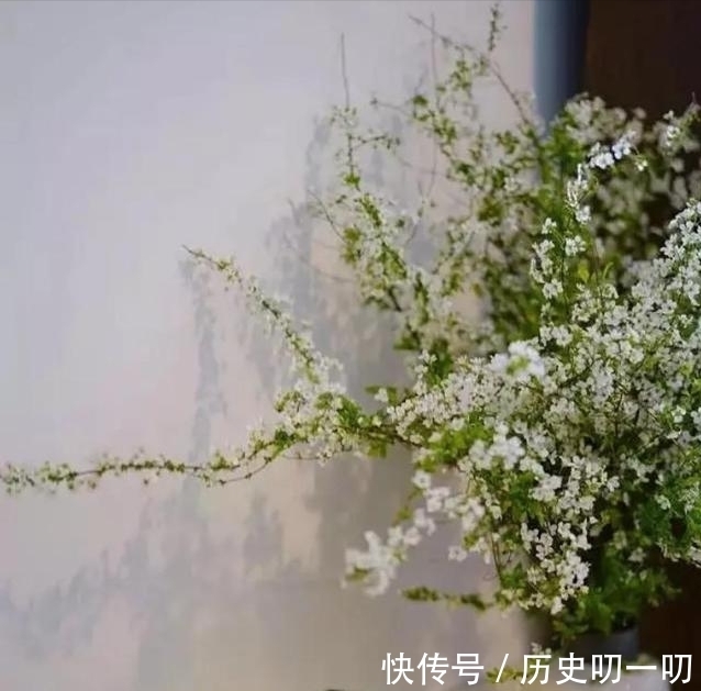 列入|这“三种花”不能养,已被列入“养殖黑名单”,别再傻傻当作宝